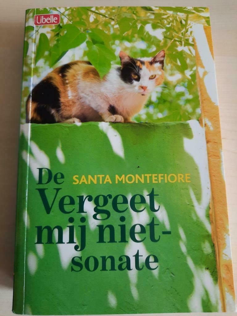 De vergeet mij niet sonate  santa Montefiore, Boeken, Ophalen of Verzenden, Gelezen, Santa Montefiore, België
