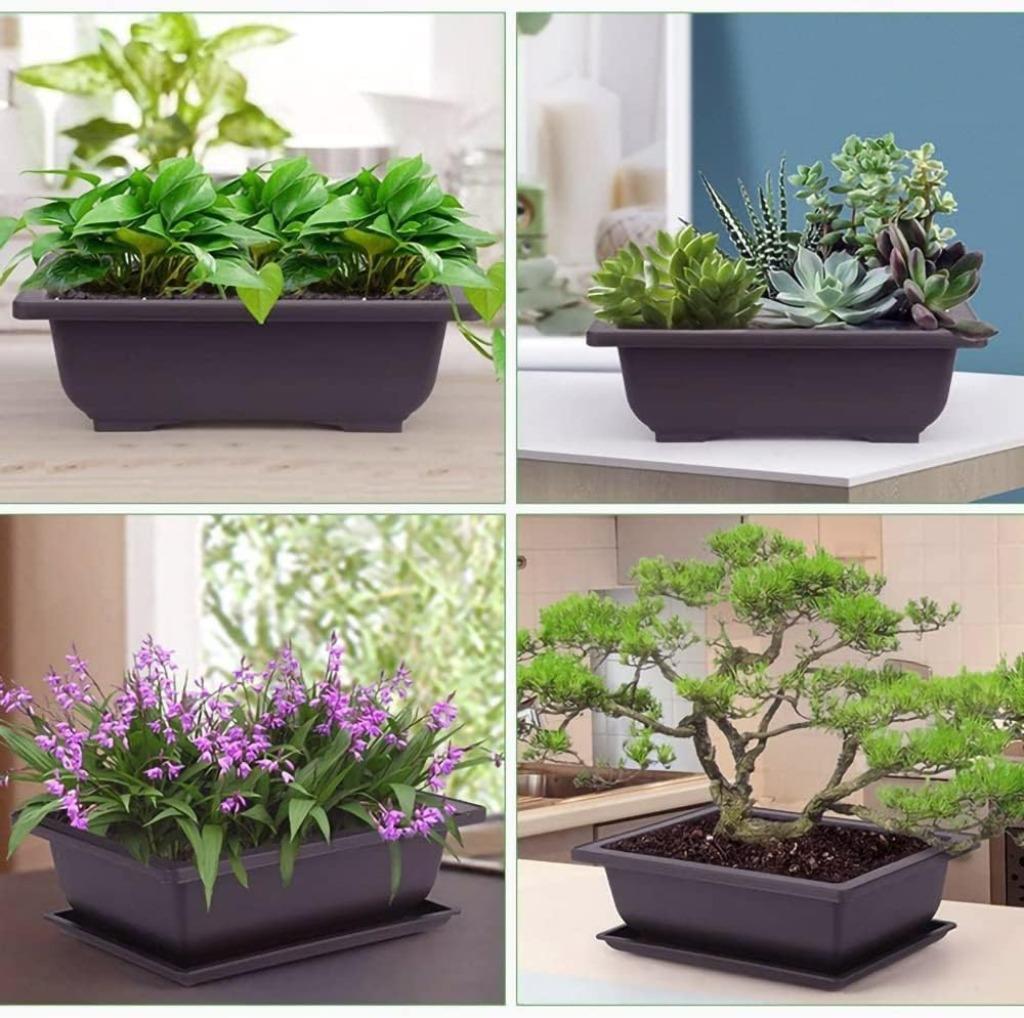 Set van 6 kleine rechthoekige bloempotten GRATIS LEVERING, Kunststof, Verzenden, Nieuw, Tuin