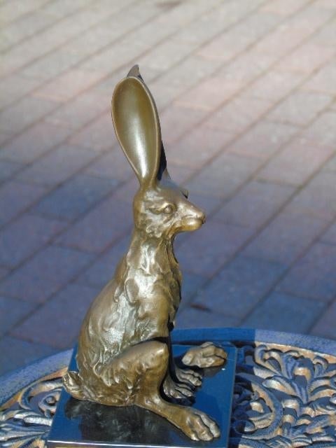 beeld, het konijn met grote oren in brons gesigneerd., Antiek en Kunst, Ophalen of Verzenden, Brons
