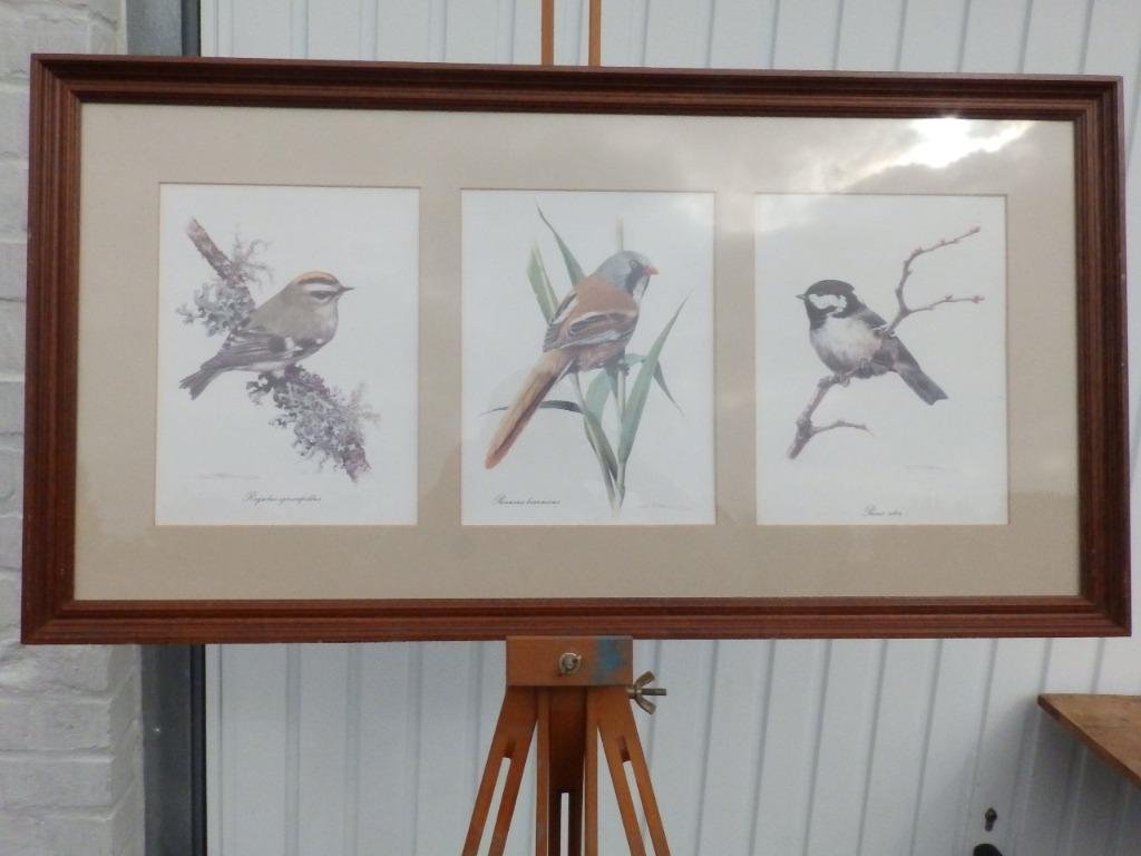 4 frames met vogelprints, Antiek en Kunst, Ophalen