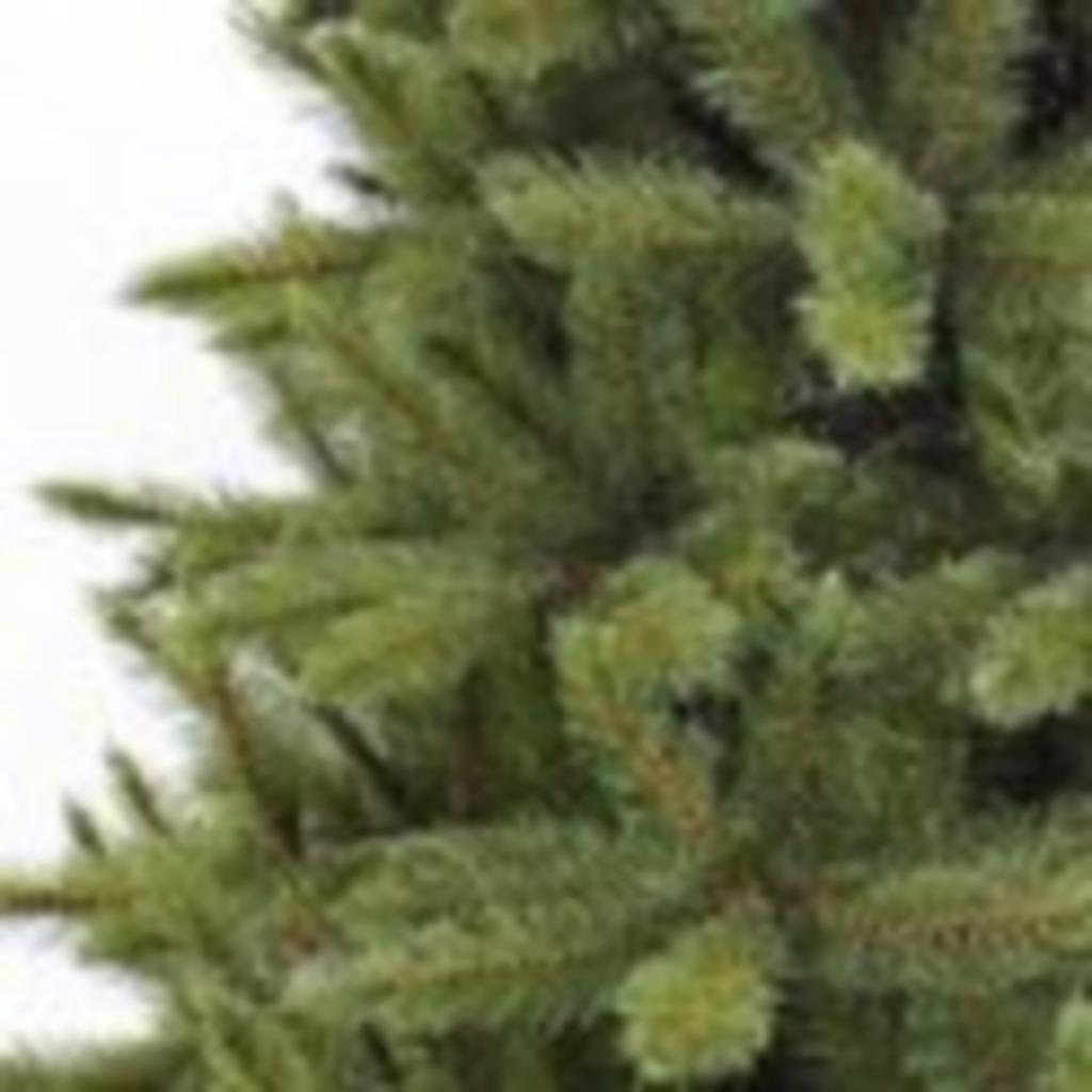 Triumph Tree Forest Frosted Blauw, Diversen, Ophalen, Nieuw