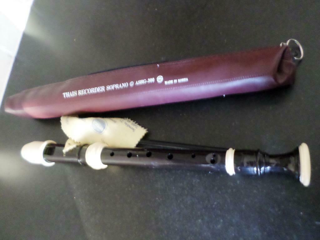 Blokfluit Thais Recorder Soprano ASRG-300, Musique & Instruments, Enlèvement ou Envoi, Utilisé, Soprano ou Sopranino, Synthétique