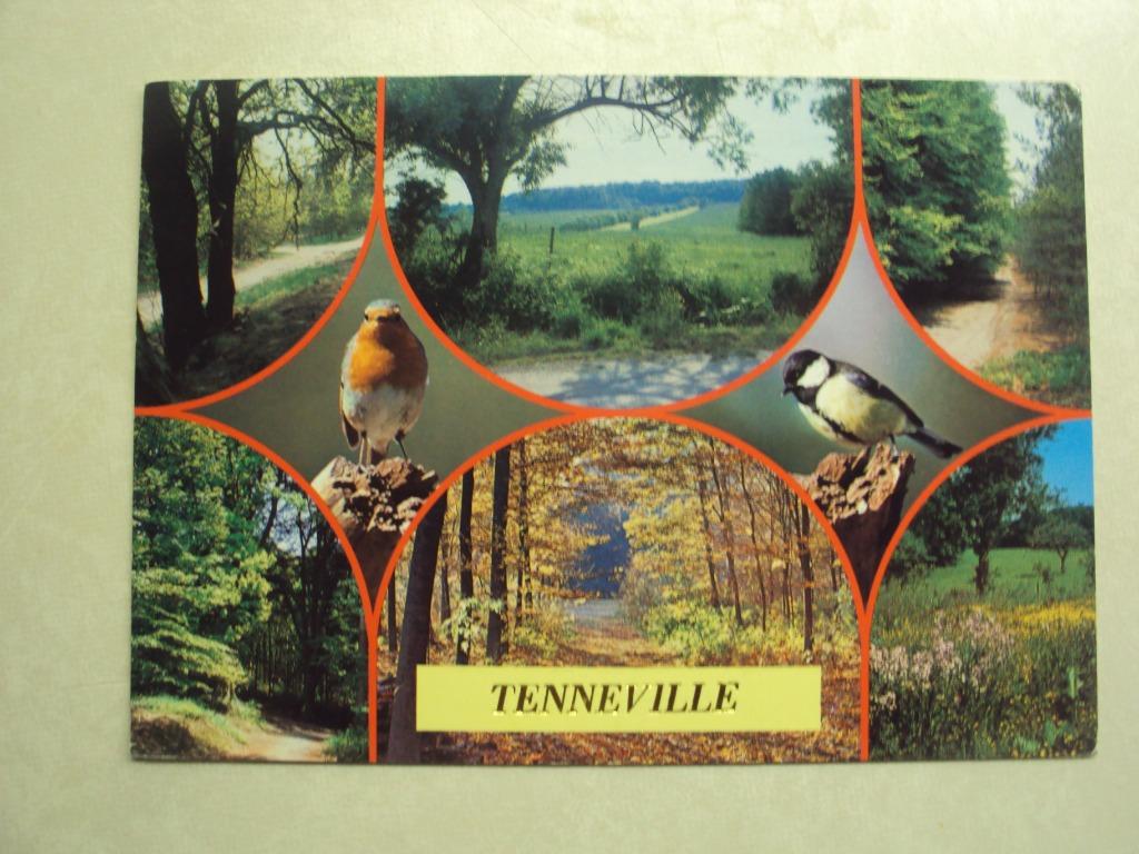 51337 - TENNEVILLE - 6 ZICHTEN, Verzenden
