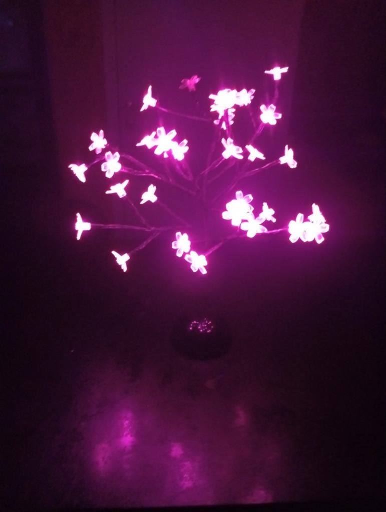 Petit arbre lumineux, Divers