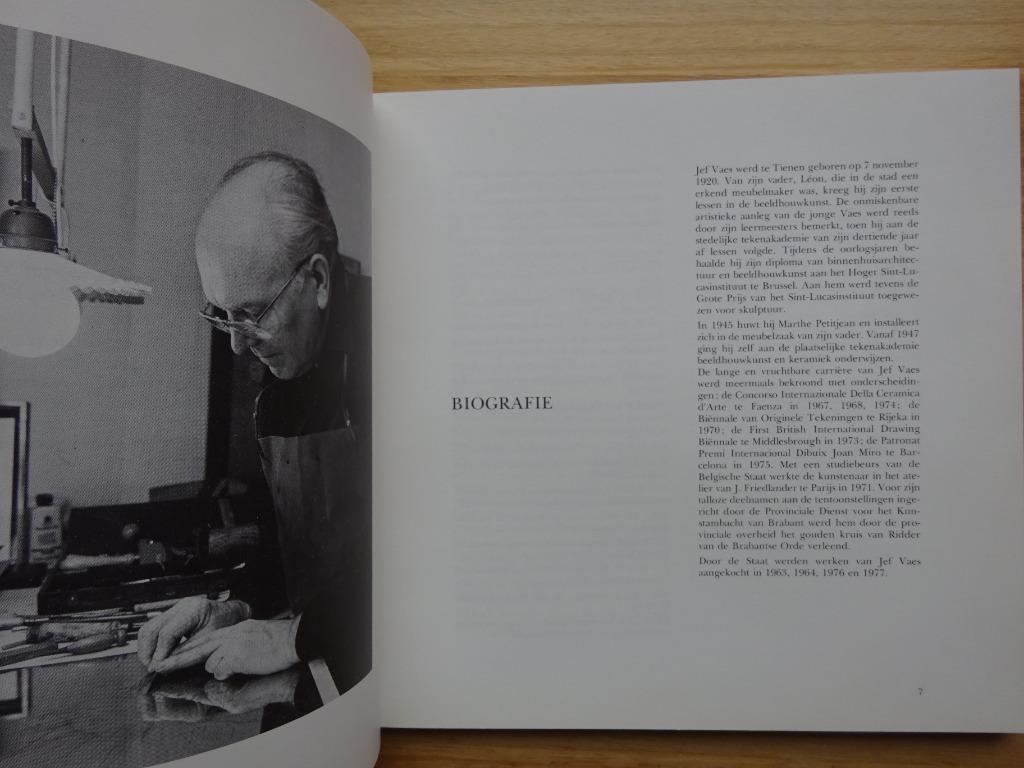 Jef Vaes, monografie, catalogus Museum Tienen, 1981, Enlèvement ou Envoi, Comme neuf, Peinture et dessin