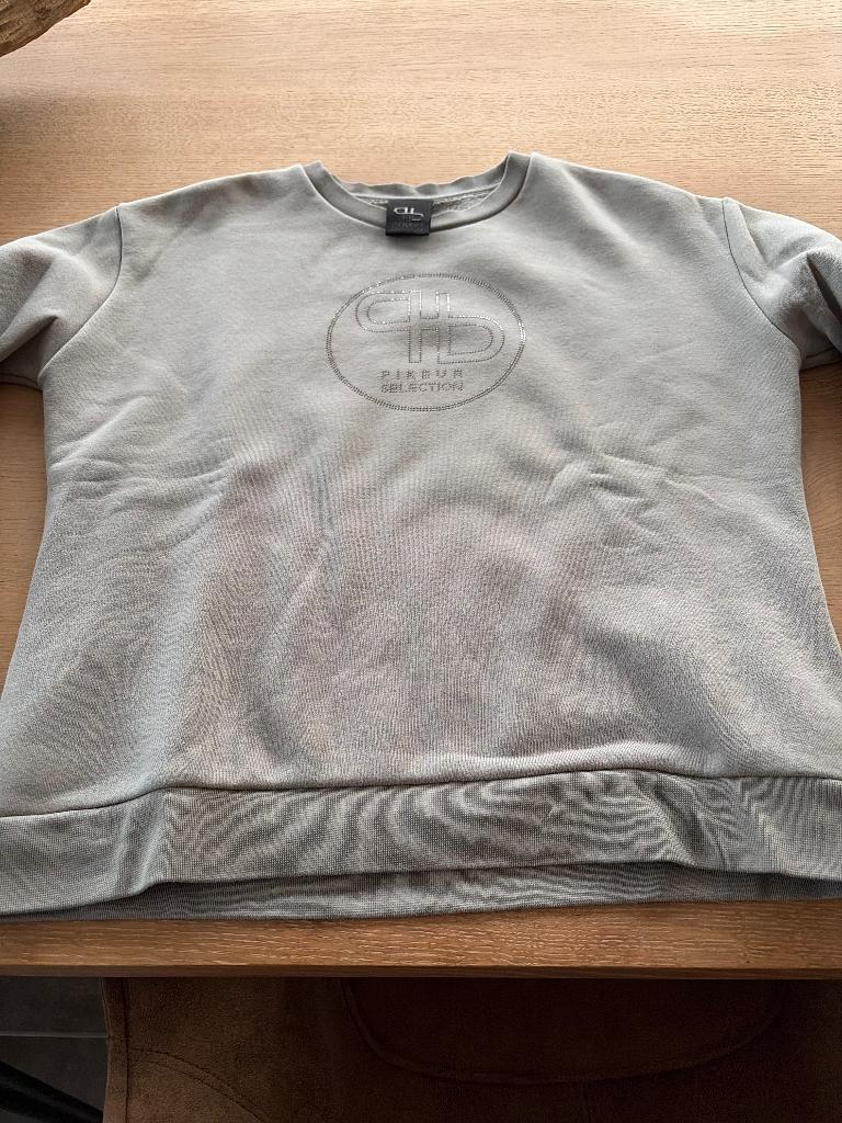 Trui paardensport piqeur, Ophalen of Verzenden, Zo goed als nieuw, Dressuur, Dames