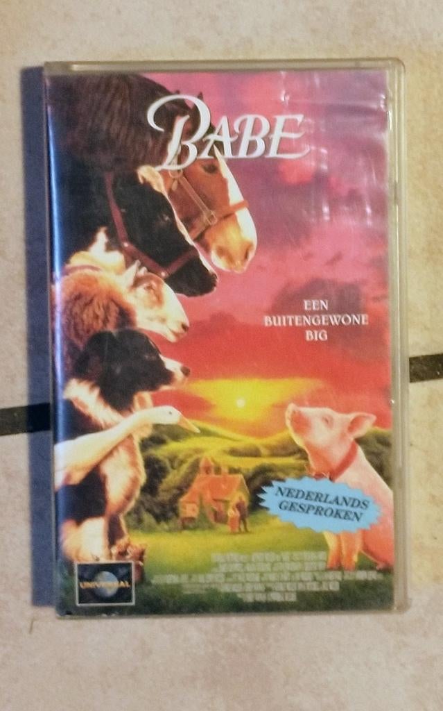 Video Babe, Ophalen of Verzenden