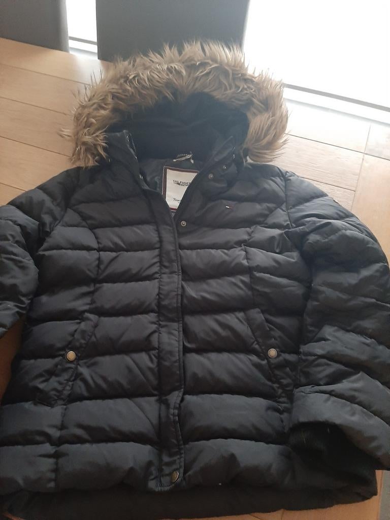 Zwarte jas Tommy Hilfiger, Kleding | Dames, Jassen | Winter, Maat 46/48 (XL) of groter, Ophalen