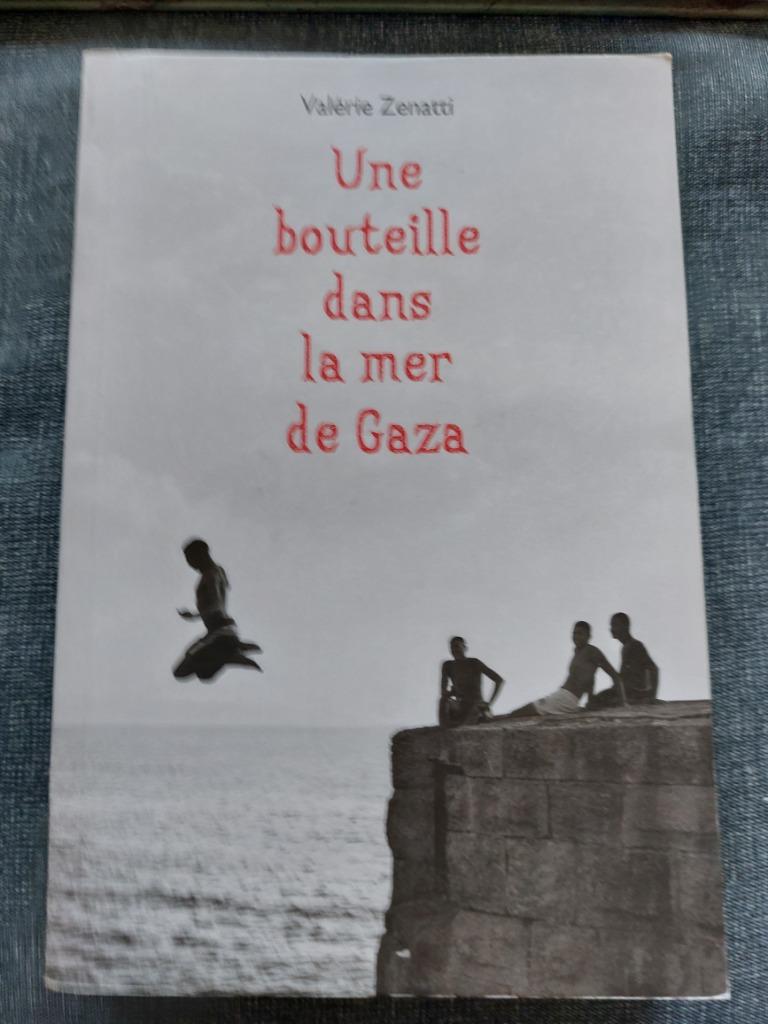 Une bouteille dans la mer de Gaza - Valérie Zenatti (Frans), Boeken, Ophalen of Verzenden, Zo goed als nieuw, Valérie Zanetti