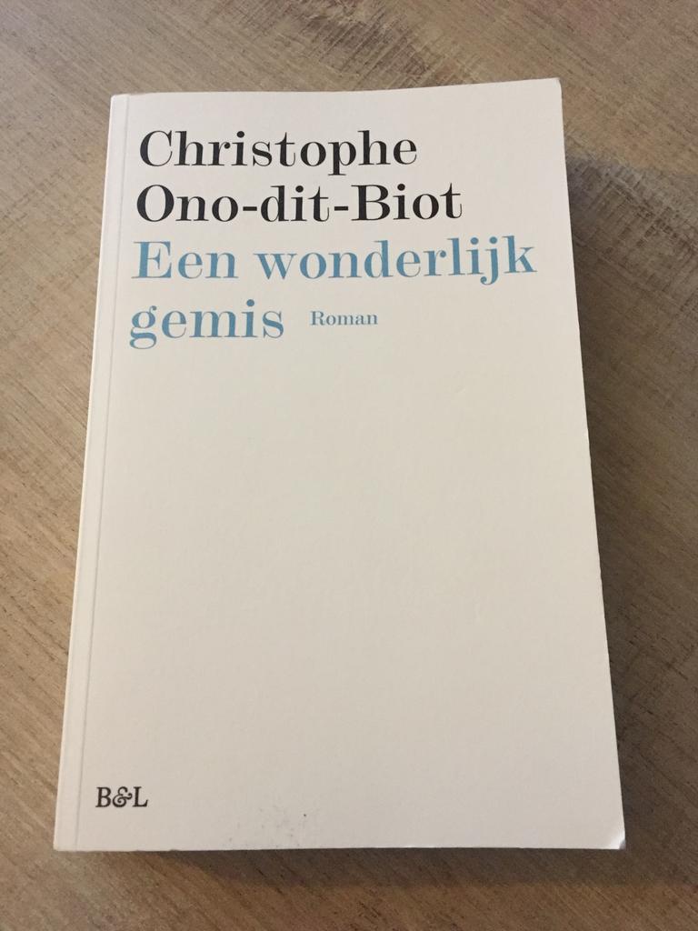 Een wonderlijk gemis, Enlèvement ou Envoi, Comme neuf