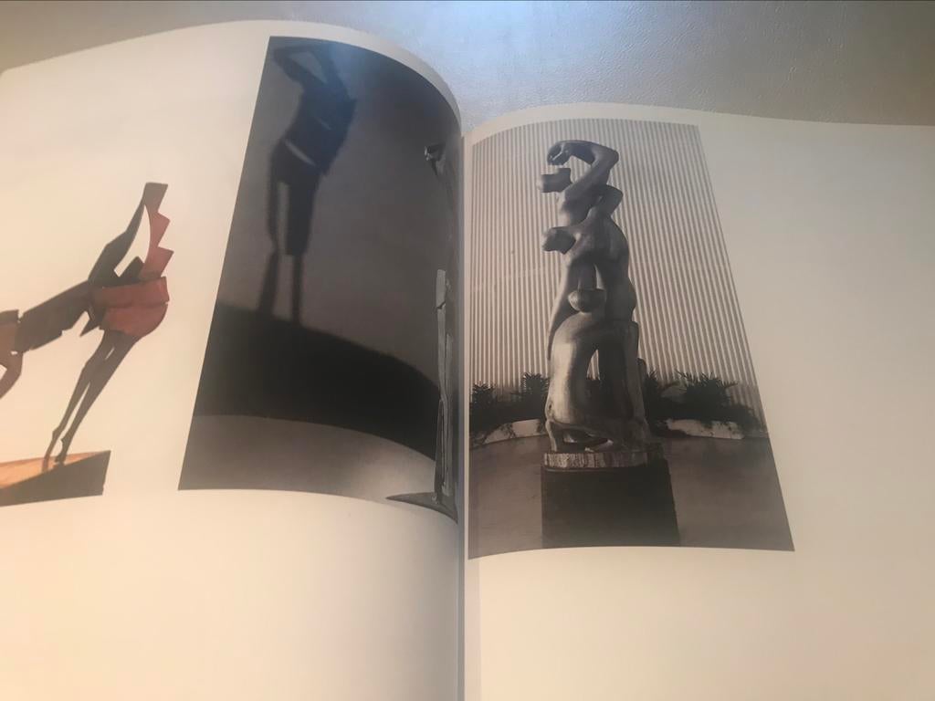 Rik Poot Sculptures 180 pages, Enlèvement ou Envoi, Comme neuf, Sculpture
