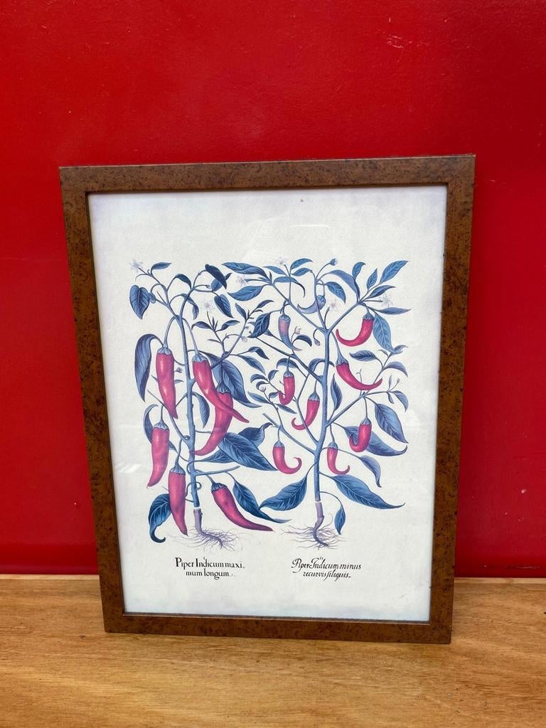 Schilderij pepers, Antiek en Kunst, Kunst | Litho's en Zeefdrukken, Ophalen of Verzenden
