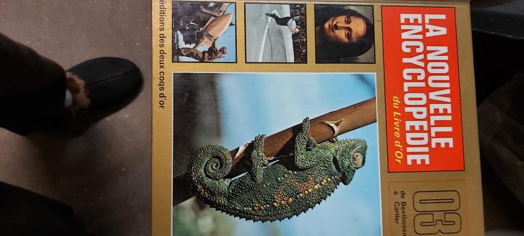 Kartonboek: de nieuwe encyclopedie, Los deel, Collectif, Overige onderwerpen, Ophalen