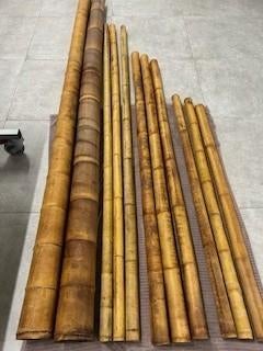 Bamboestokken, terrarium Solar Glo 160W x kunststof planten, Ophalen, Zo goed als nieuw, Verlichting