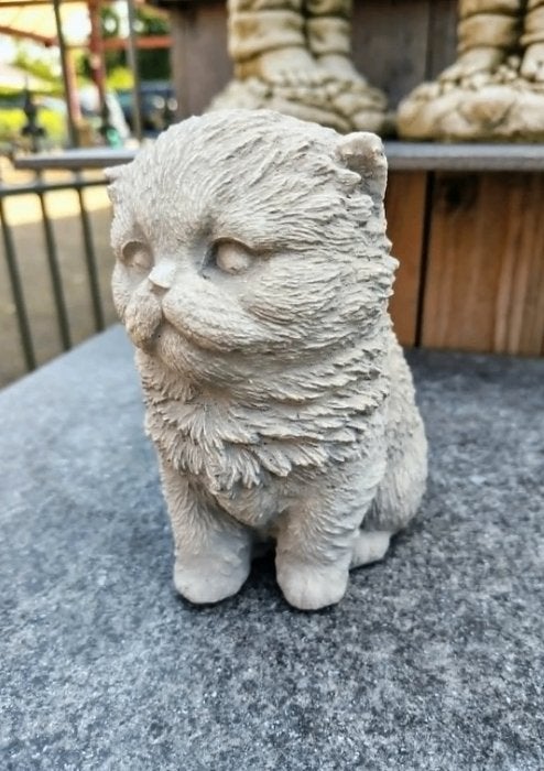 Betonnen tuinbeeld - kat / scottish fold / british shorthair, Enlèvement ou Envoi, Neuf, Béton, Animal