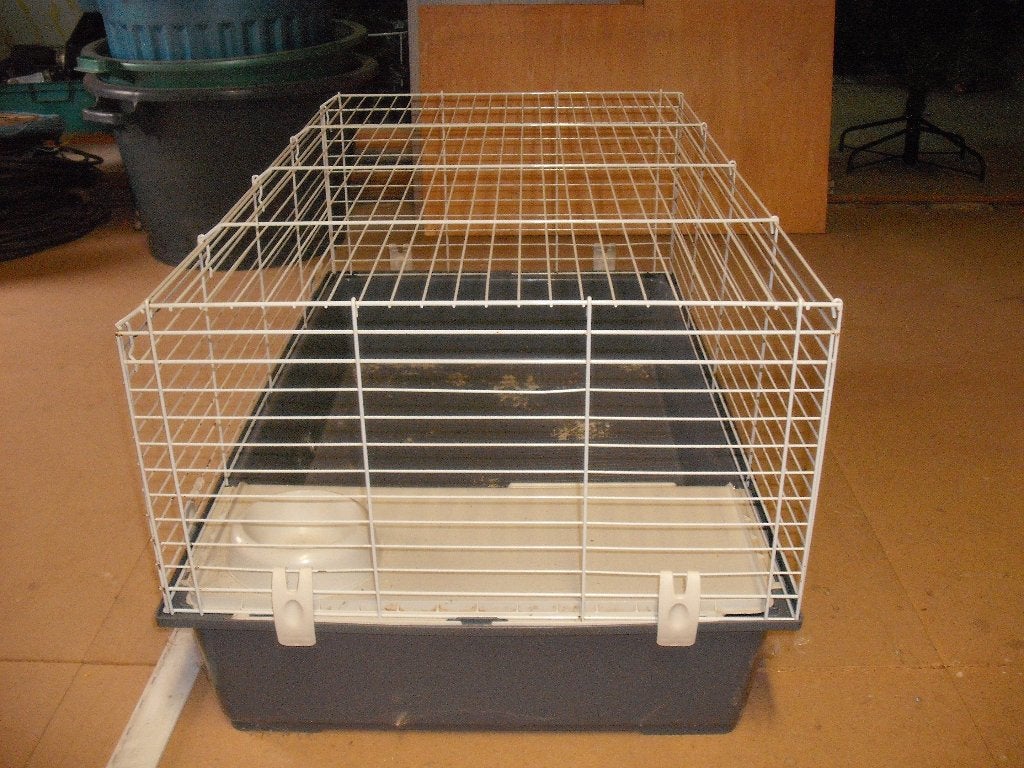 cage, Janvier, Domestique