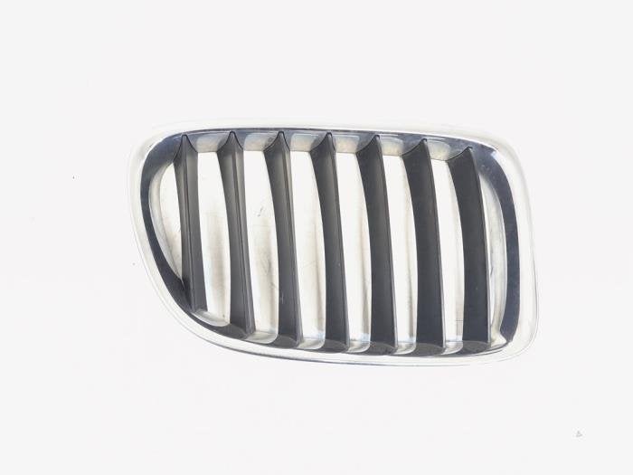 Calandre d'un BMW X1, Autos : Pièces & Accessoires, Carrosserie & Tôlerie, -, 3 mois de garantie, Utilisé, -
