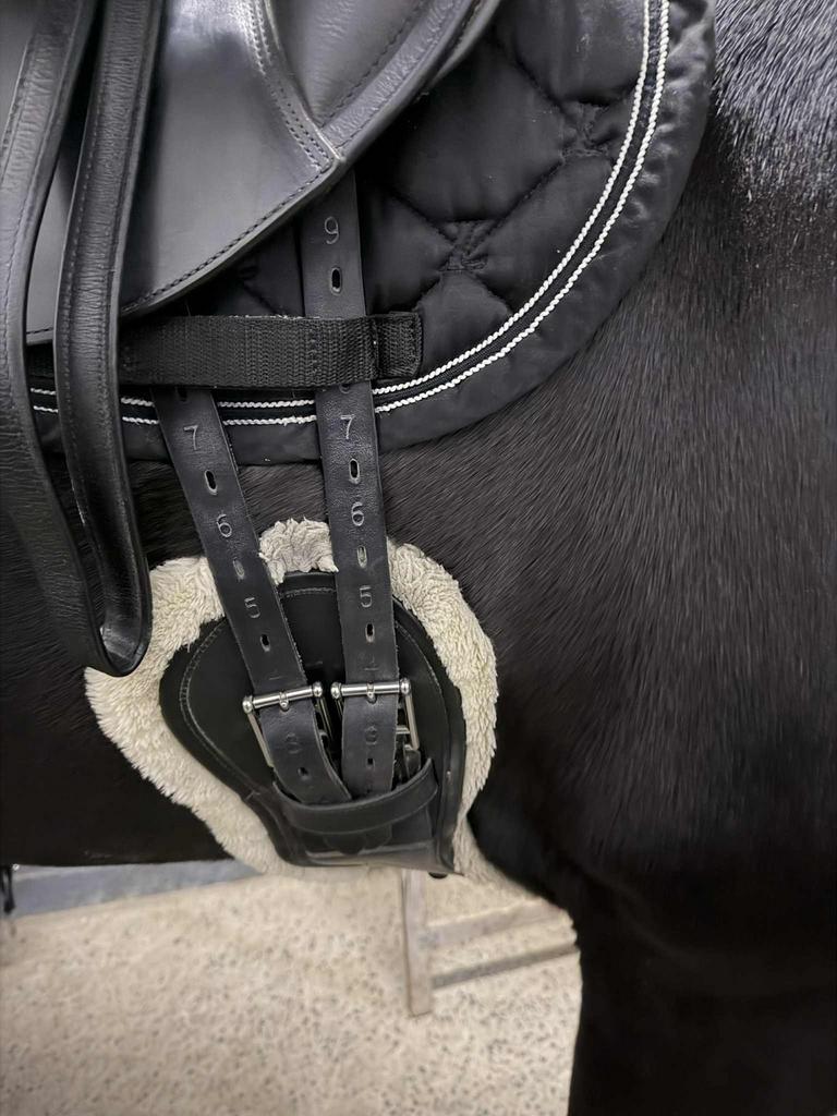 Kentucky dressuursingel 65cm, Dieren en Toebehoren, Ophalen, Zo goed als nieuw