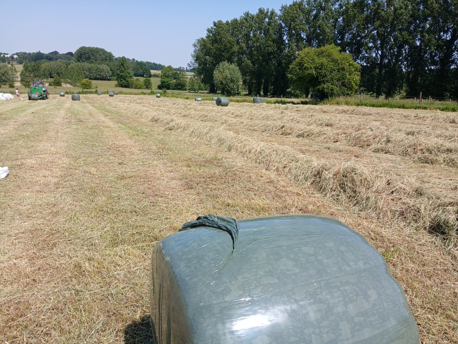 Midi  balen