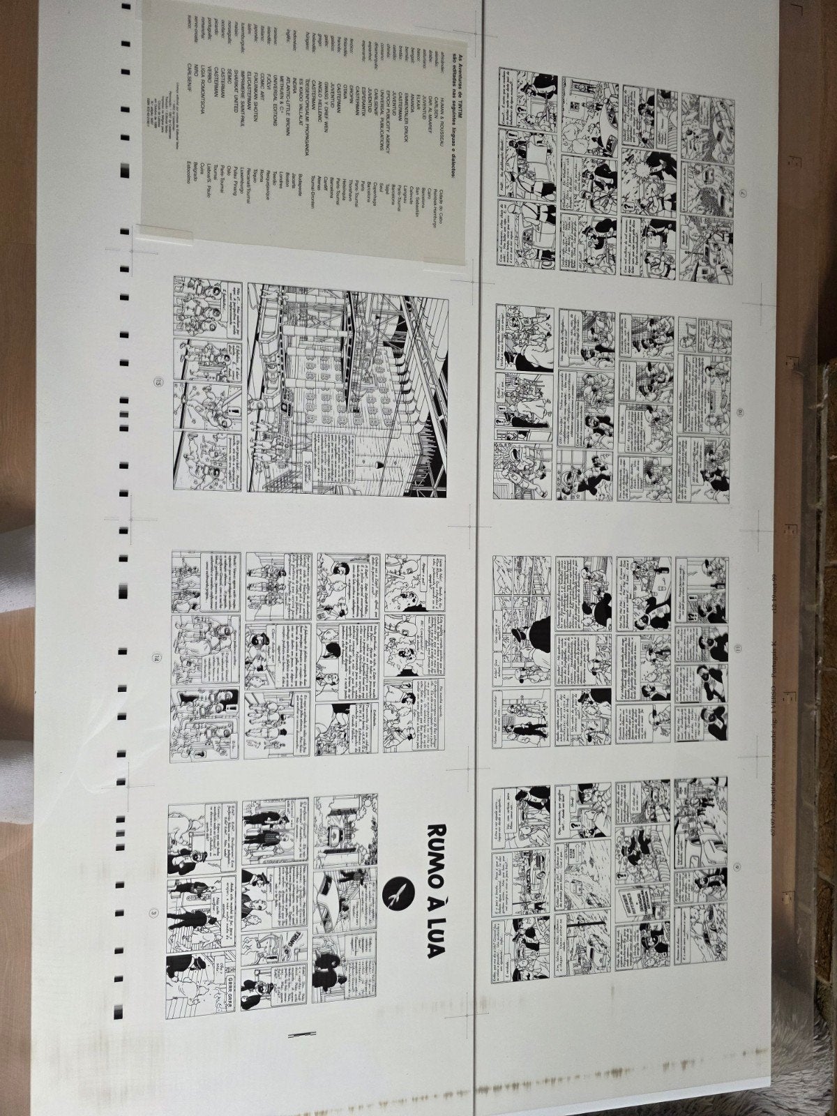 celluloid d impression tintin, Maison & Meubles, Enlèvement