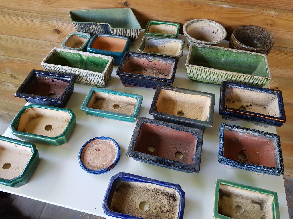 Bonsai pots for sale, Ophalen, Gebruikt, Aardewerk