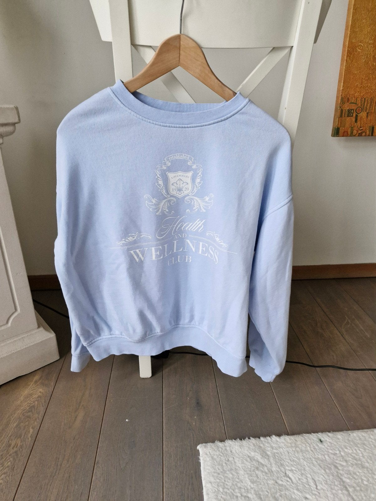 Sweatshirt licht blauw, Ophalen of Verzenden, Blauw