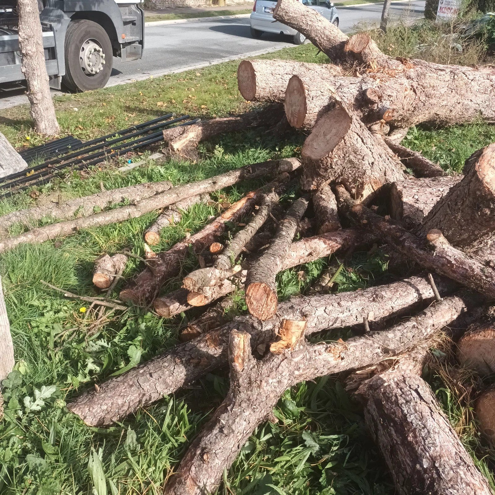 gratis bomen, Tuin en Terras, Ophalen