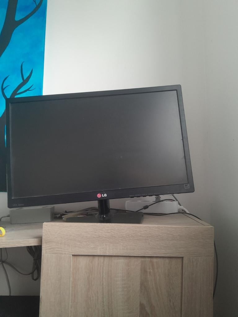 MONITEUR LG 22 pouces. 60 hertz., HD, 60 Hz ou moins, Enlèvement, Utilisé