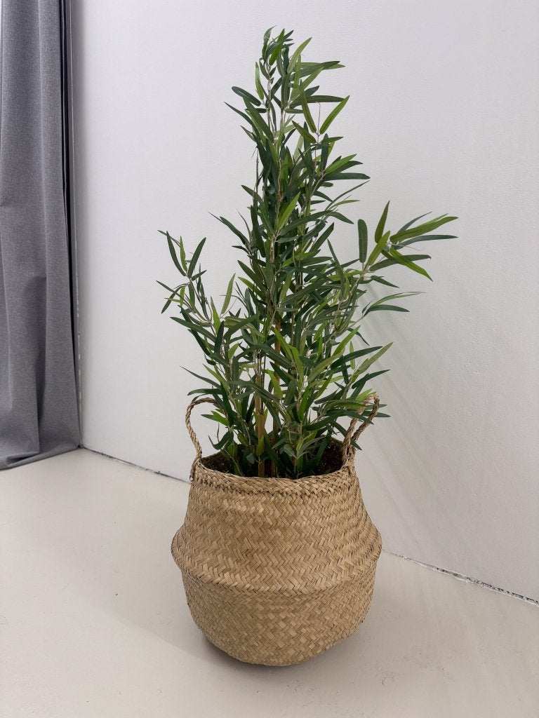 Fausse Plante verte, Huis en Inrichting, Ophalen, Overige soorten, In pot, Minder dan 100 cm