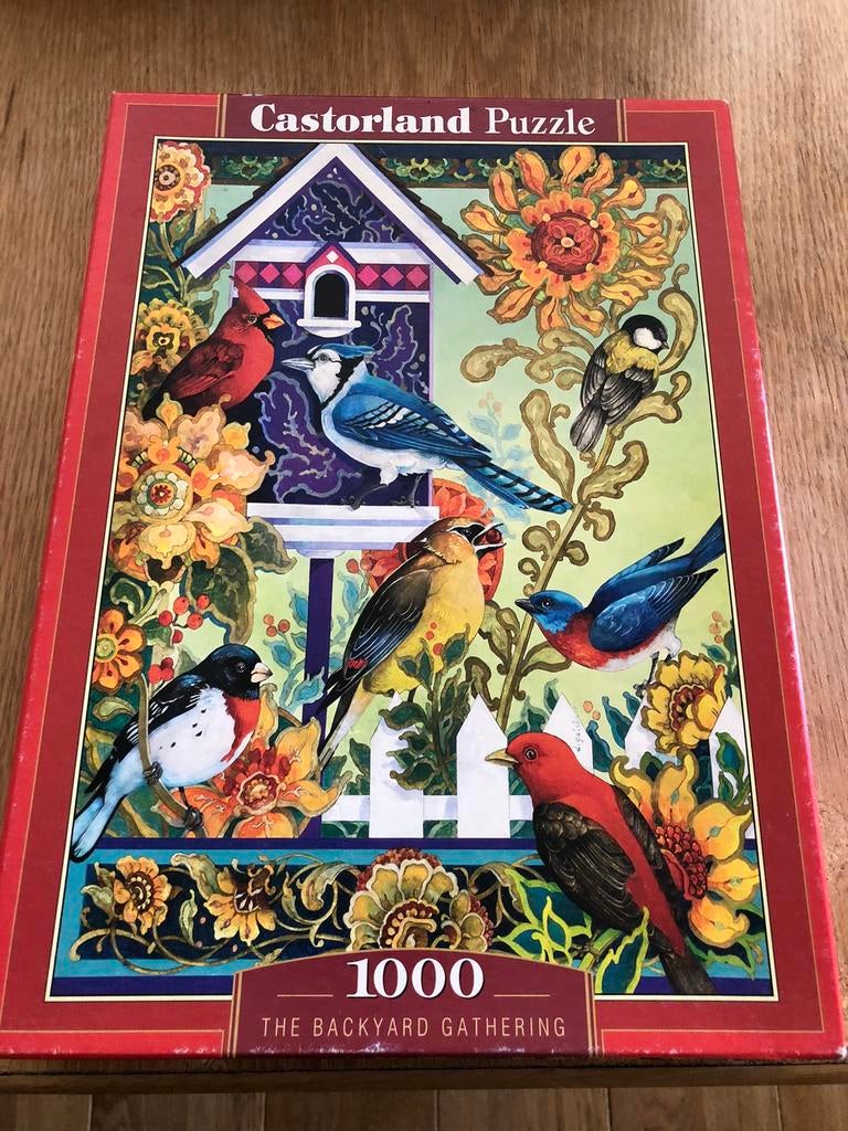 Castorland puzzel 1000stukjes, Ophalen, Zo goed als nieuw