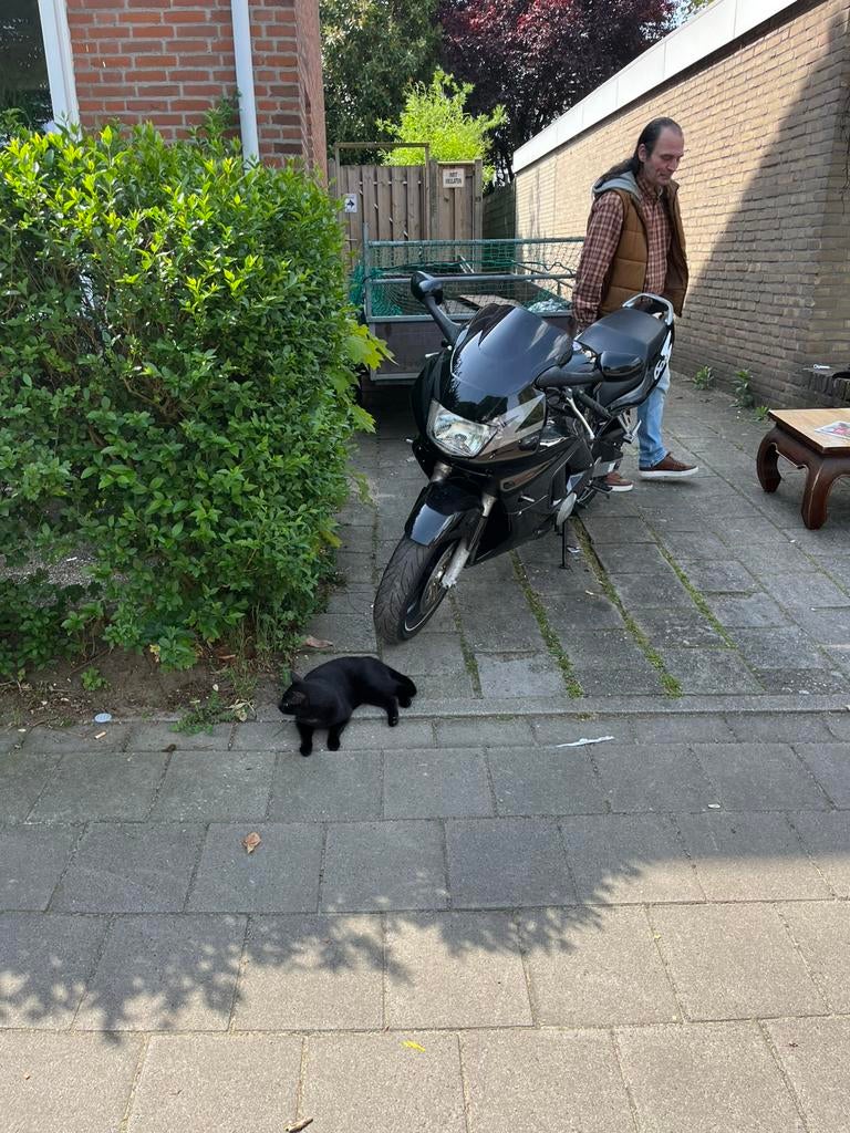 GEZOCHT! Honda CBR900 SC28, Fietsen en Brommers, Scooters | Yamaha, Zo goed als nieuw, Ophalen