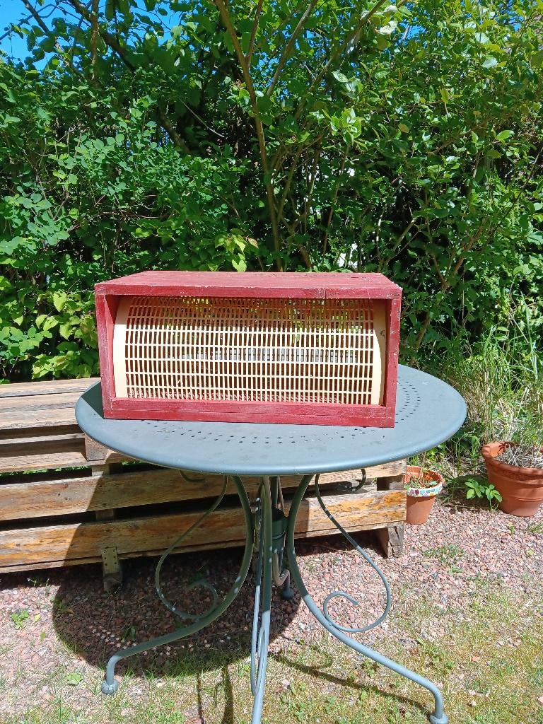 Piège frelons asiatiques, Abeilles