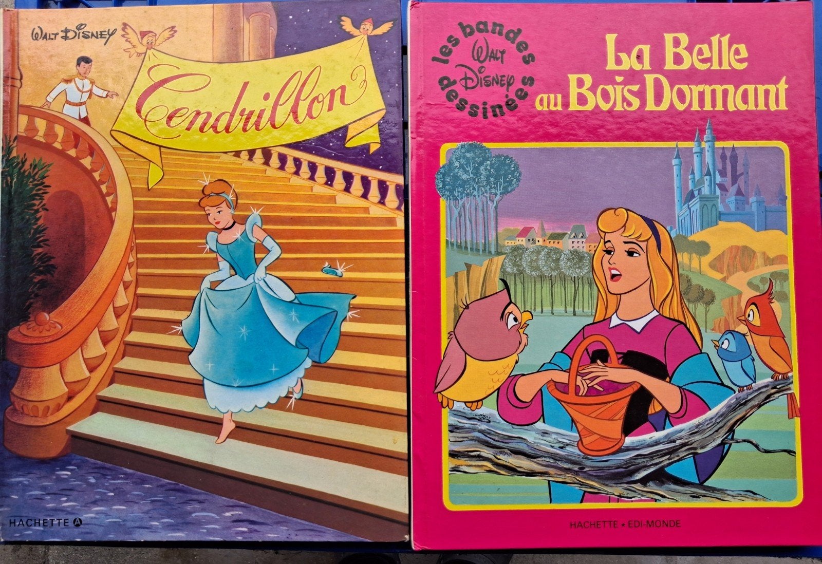 BD de Cendrillon et la belle au bois dormant, Enlèvement, Utilisé