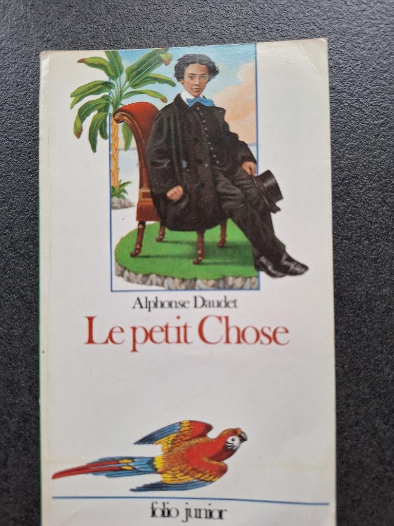 Le petit chose - Alphone Dauder, Alphone Daudet, Fiction, Enlèvement, Utilisé