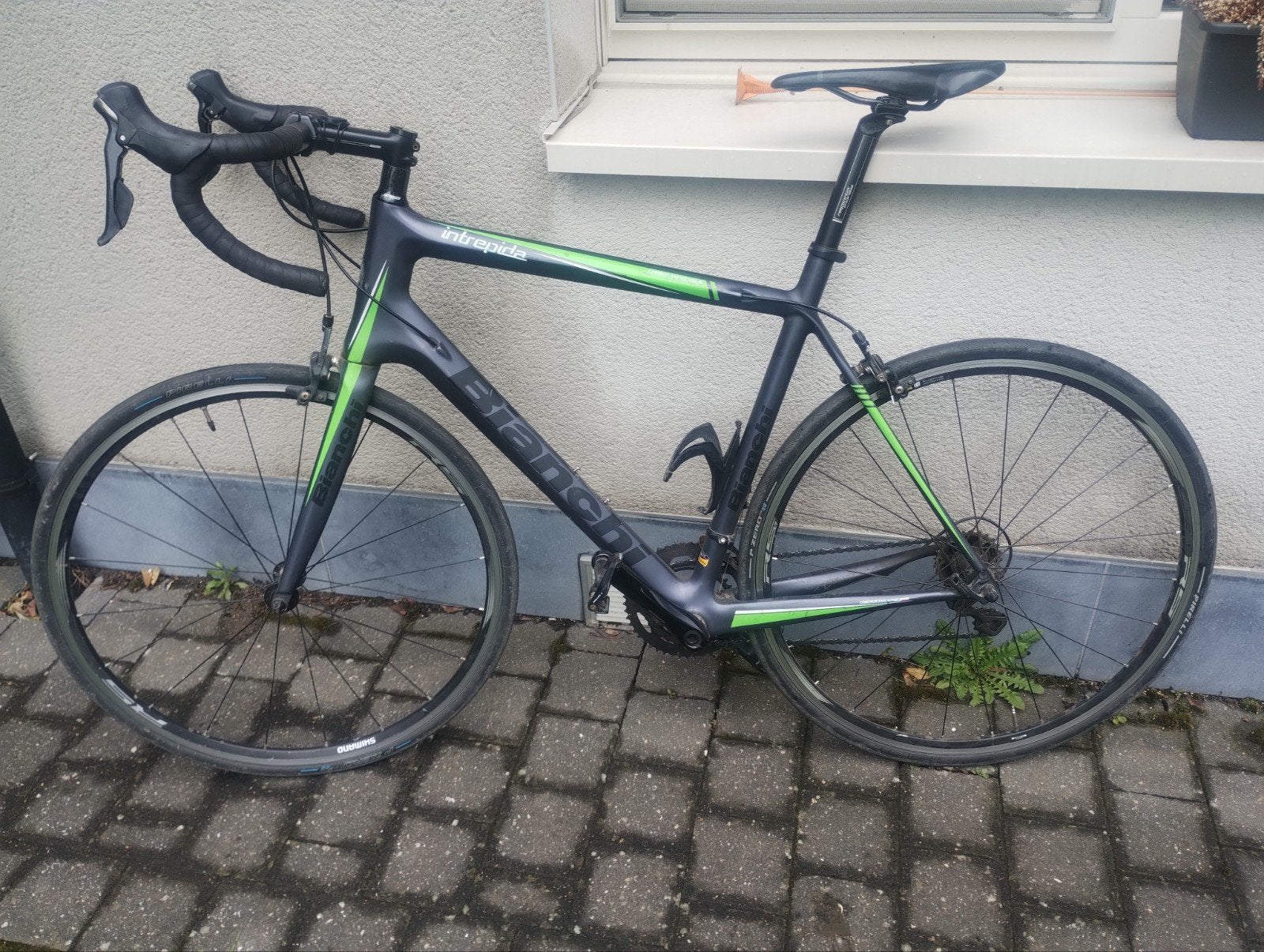 Racefiets Bianchi, Enlèvement, Carbone