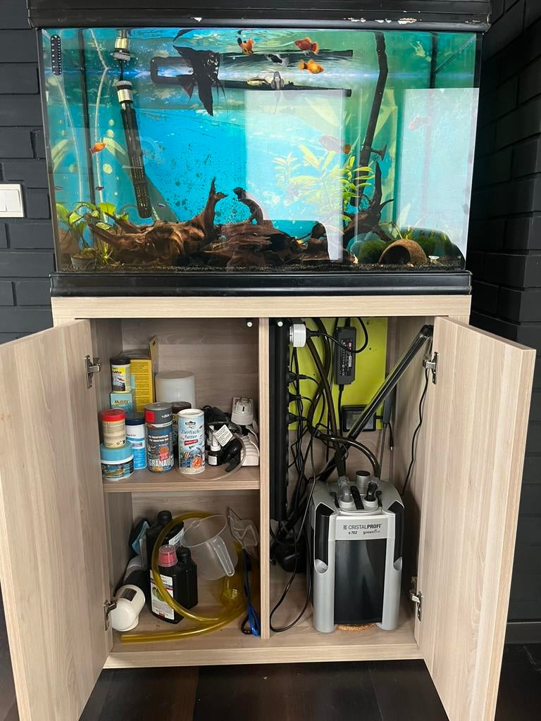 Aquarium met alle toebehoren en vissen, Dieren en Toebehoren, Ophalen, Gebruikt, Gevuld zoetwateraquarium