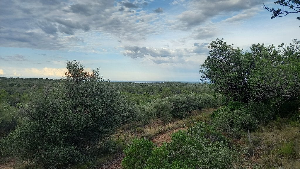 40.000M2 Mediterrane vrijheid, Immo, Buitenland, Overige soorten, Spanje, Landelijk