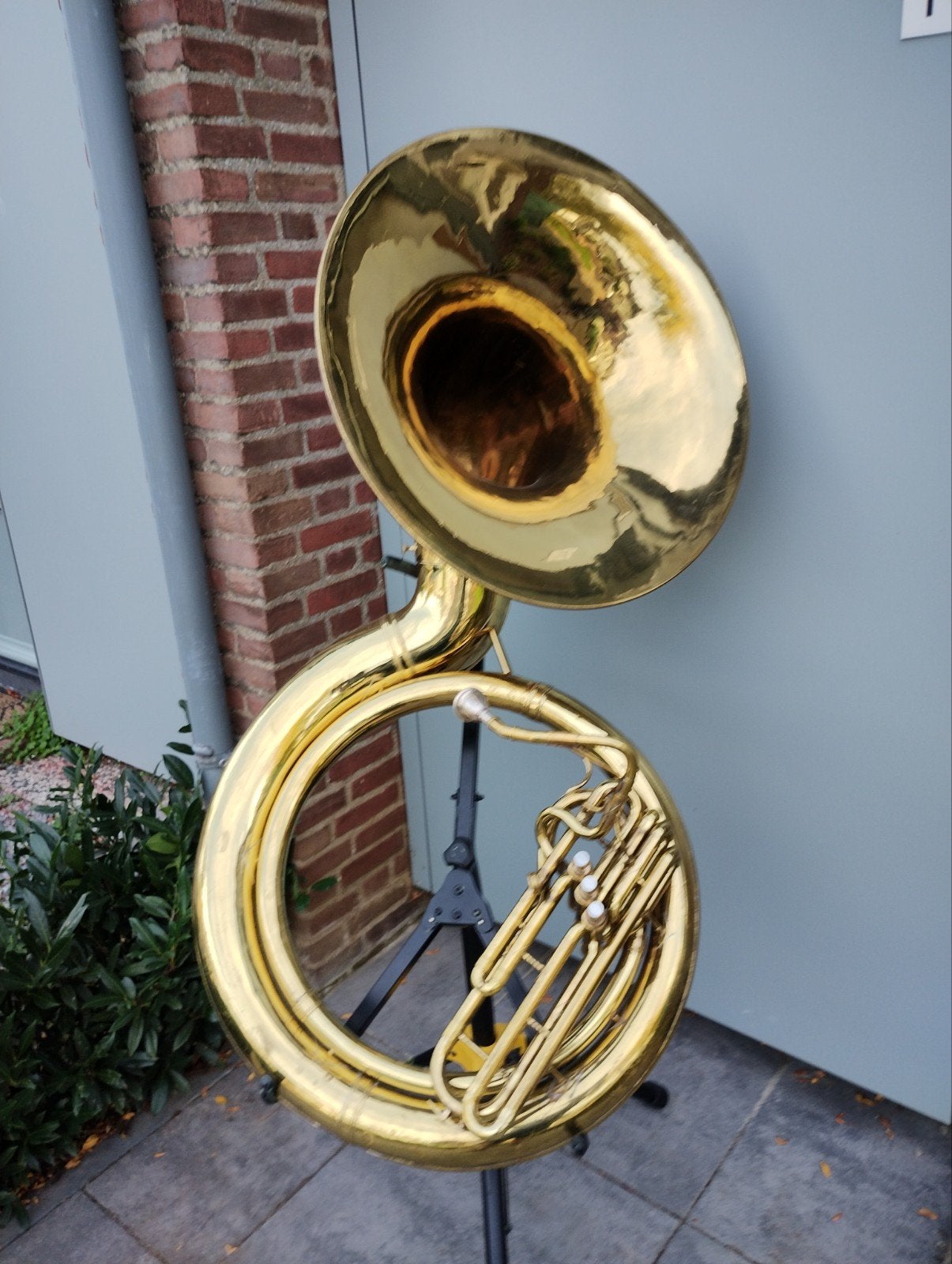Le charmant roi 1250 BBb Sousaphone (1925), Enlèvement