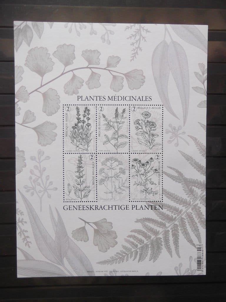 BL311 Plantes médicinales - Geneeskrachtige planten MNH, Enlèvement ou Envoi, Non oblitéré, Timbre-poste