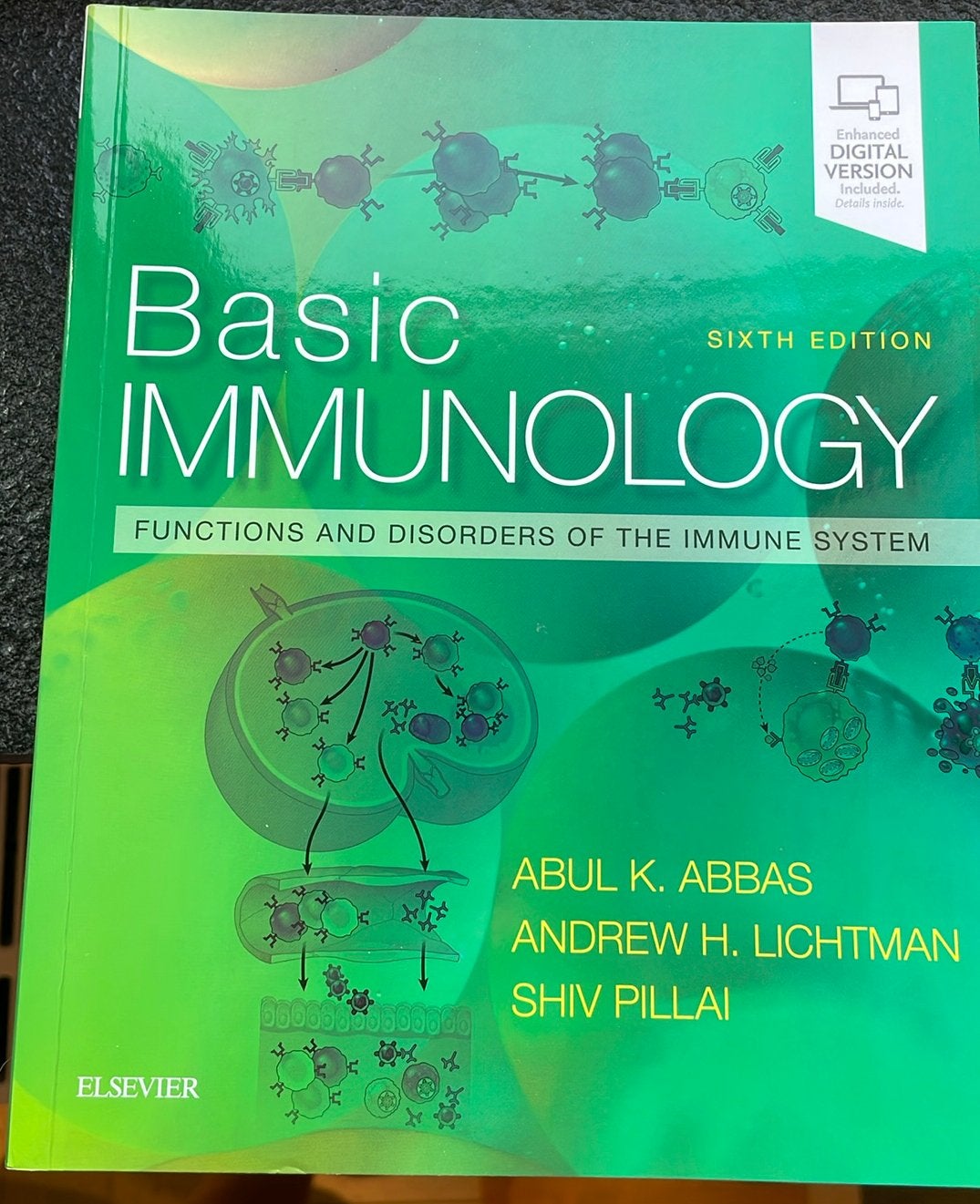 Handboek Basic immunology, Boeken, Ophalen of Verzenden, Nieuw