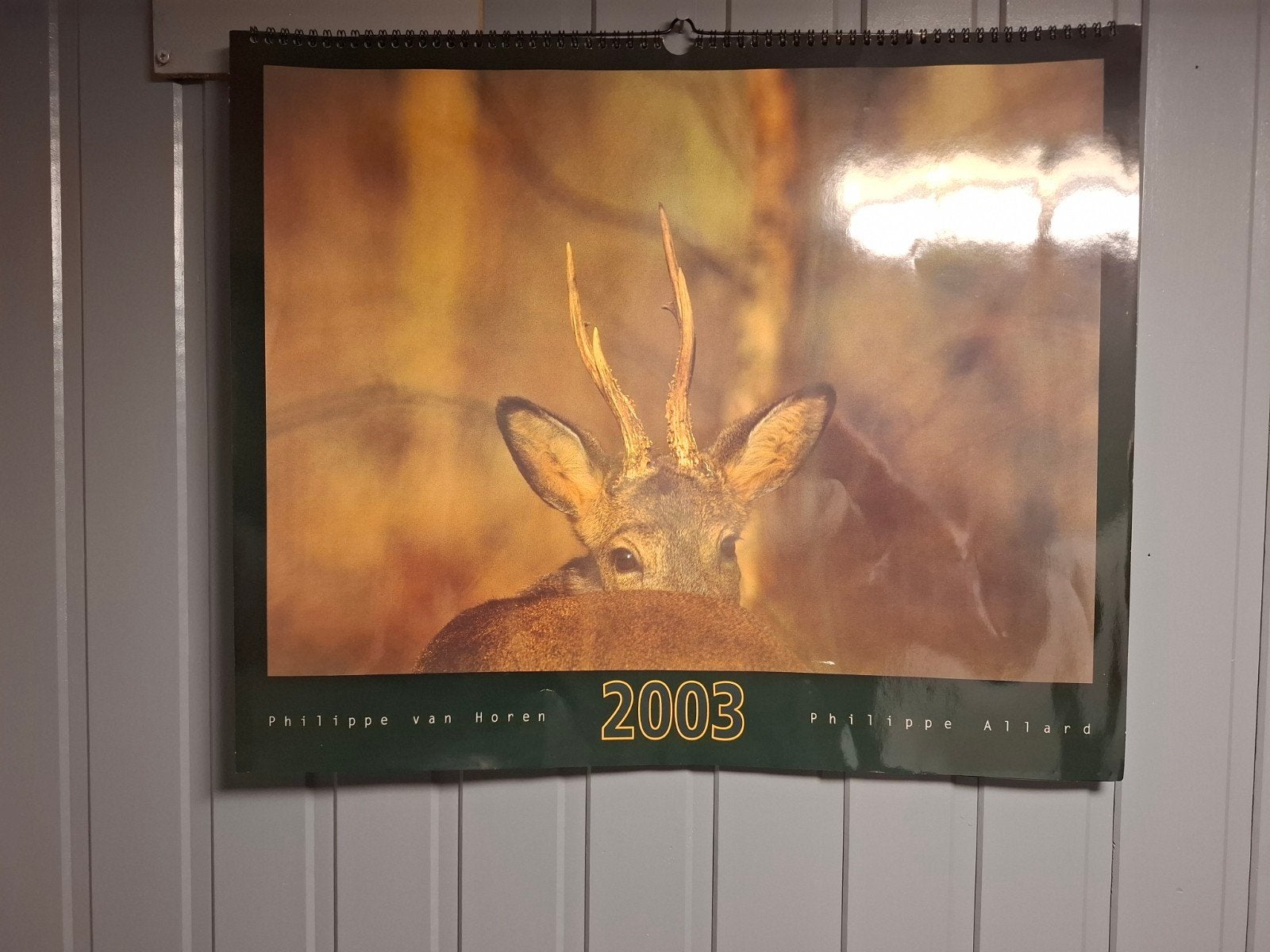 Collection Calendriers Chasse & Faune Sauvage – P. Allard &, Enlèvement, Utilisé