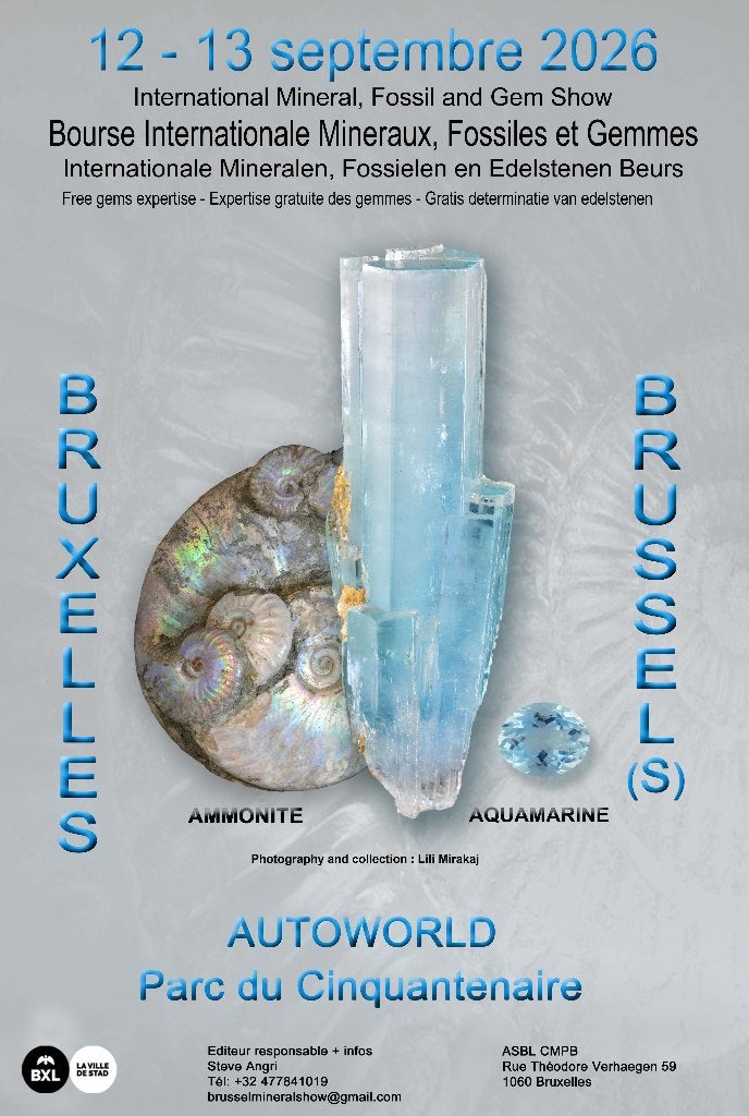mineraux et fossiles, Enlèvement, Fossile