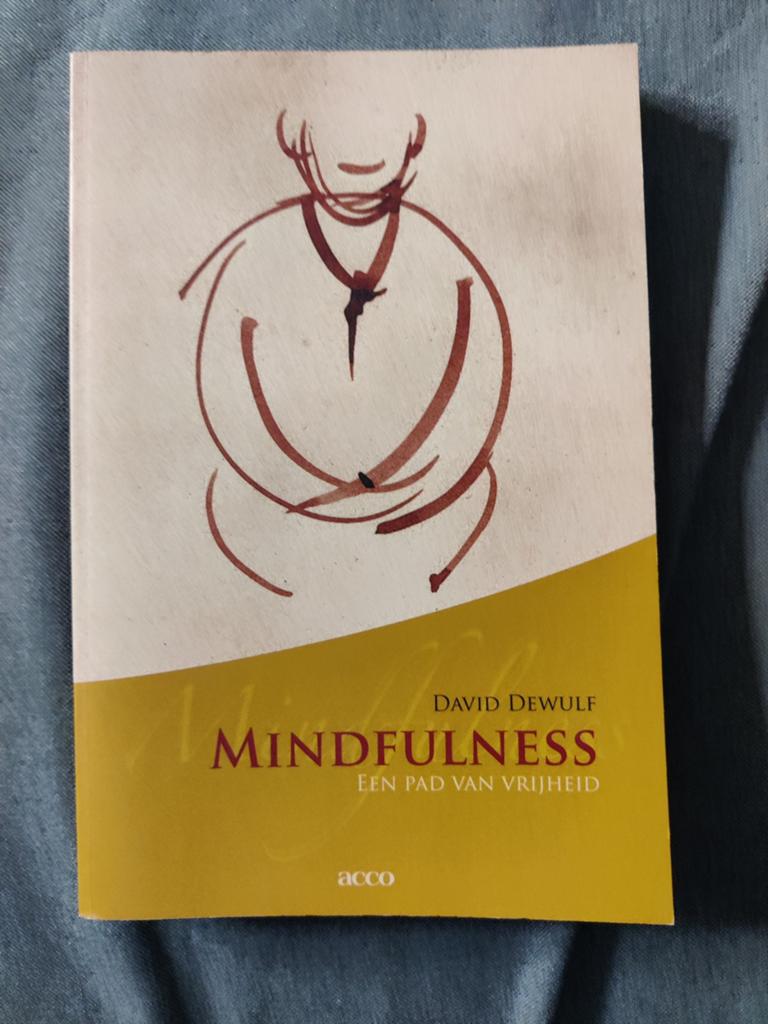 David Dewulf - Mindfulness, Livres, Psychologie, Enlèvement, David Dewulf