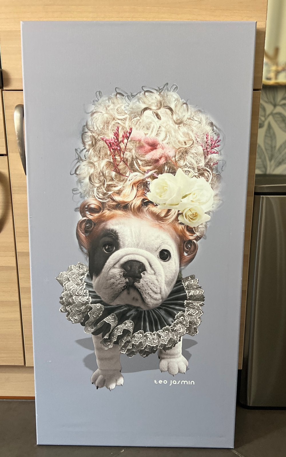 Toile Teo Jasmin chien, Enlèvement, Utilisé, 50 à 75 cm, 75 – 100