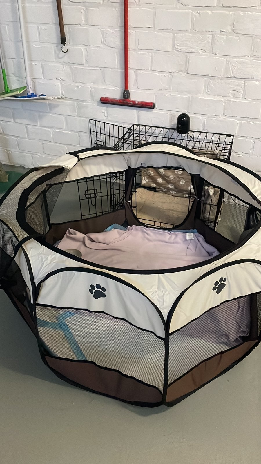 Puppyren, Enlèvement, Comme neuf