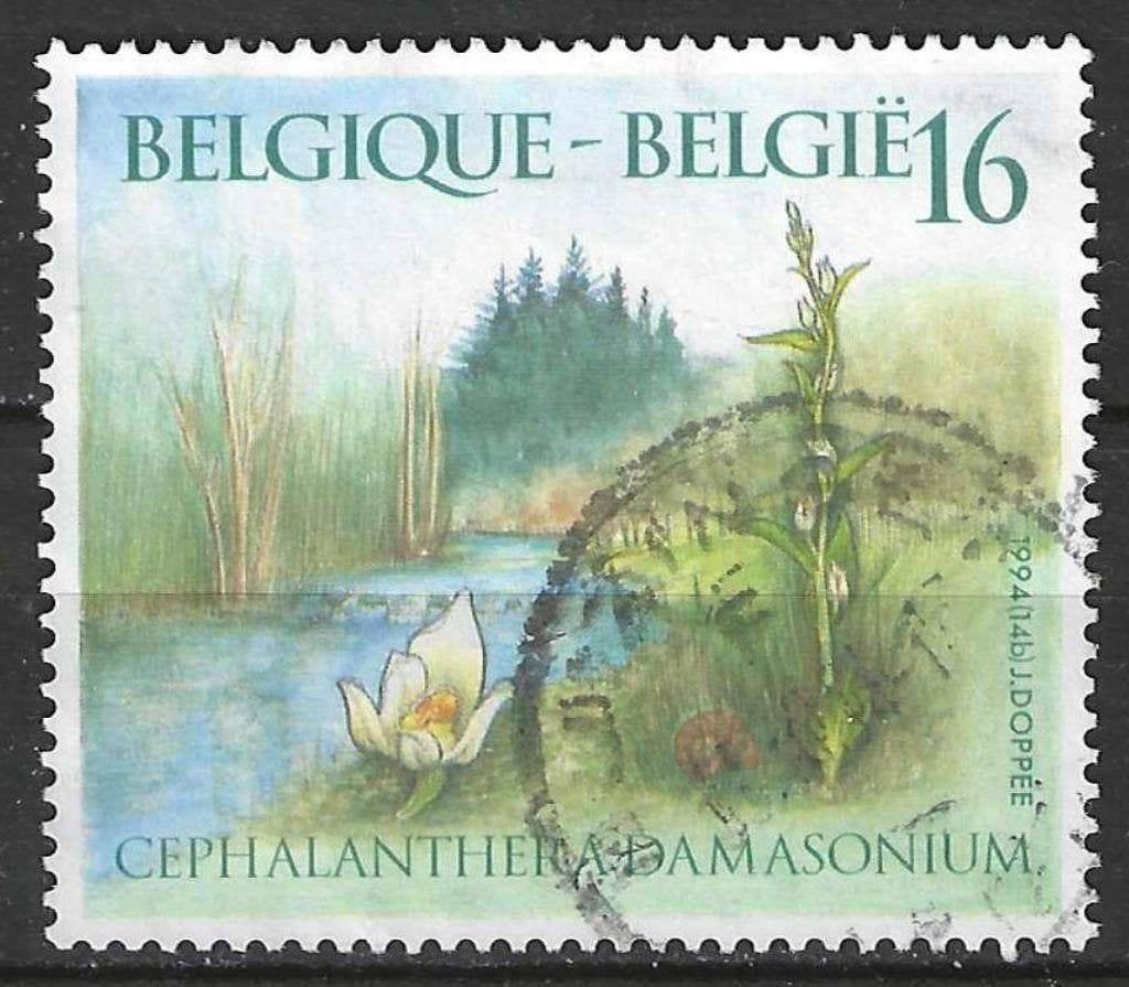 Belgique 1994 - Yvert/OBP 2573 - Nature - Plantes (ST), Envoi, Affranchi, Oblitéré