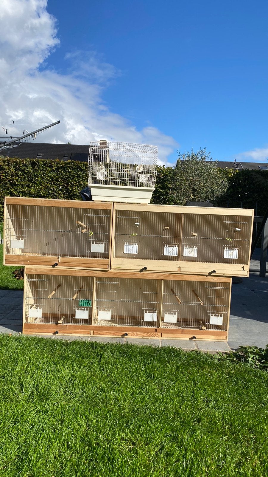 Vogel hokjes te koop 180€, Dieren en Toebehoren