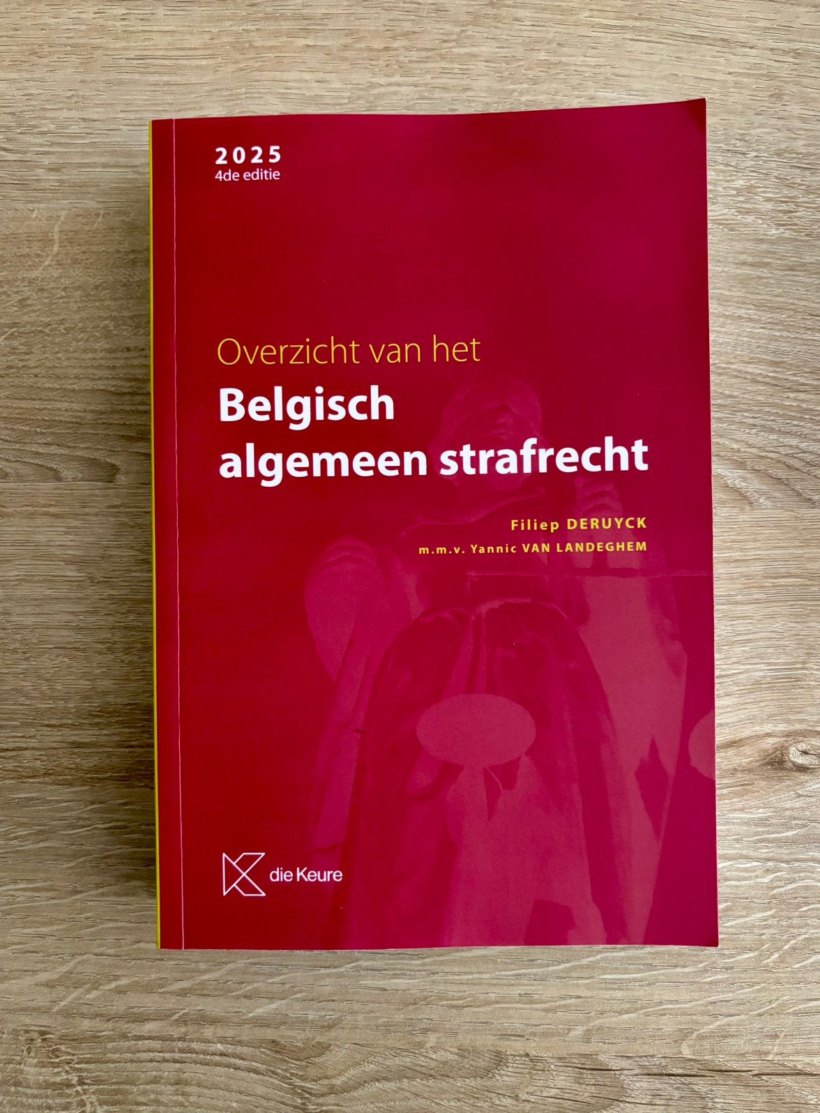Overzicht van het Belgisch algemeen strafrecht, Livres, Enlèvement, Neuf