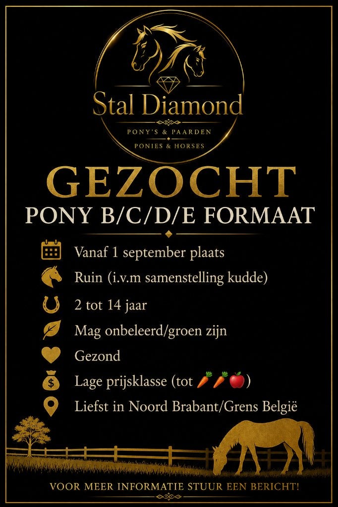 Pony gezocht, Ruin, Niet van toepassing, Gechipt
