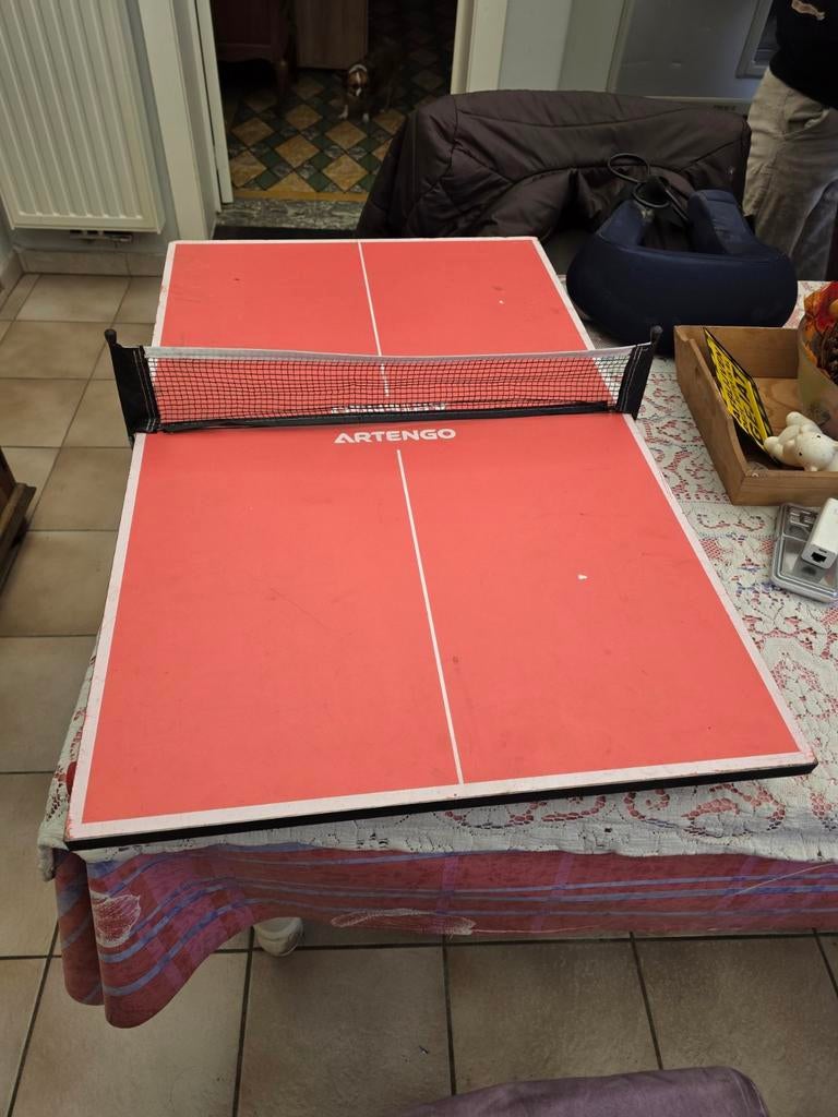 table de ping-pong, Enlèvement